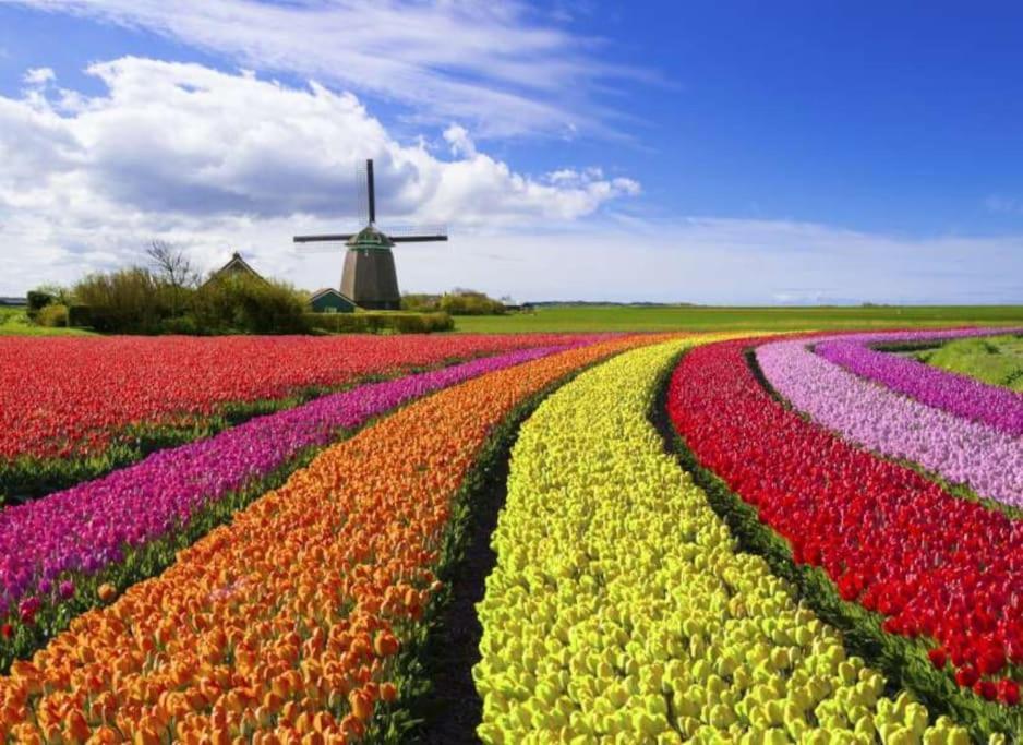 Studio Loet Schagen Buitenkant foto